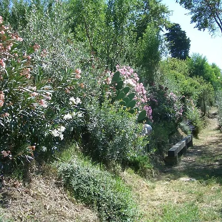 Gli Oleandri